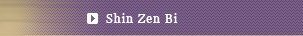 Shin Zen Bi