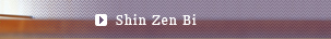 Shin Zen Bi